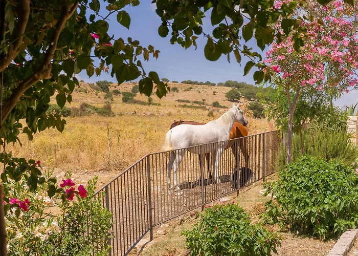 Awesome In Hébergement de vacances Palazzo Adriano